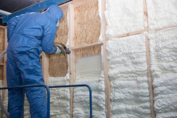 Best Batt and Roll Insulation  in Coldstream, OH